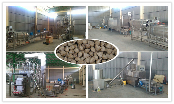 Cat Food Processing Line Is Finished in Malaysia