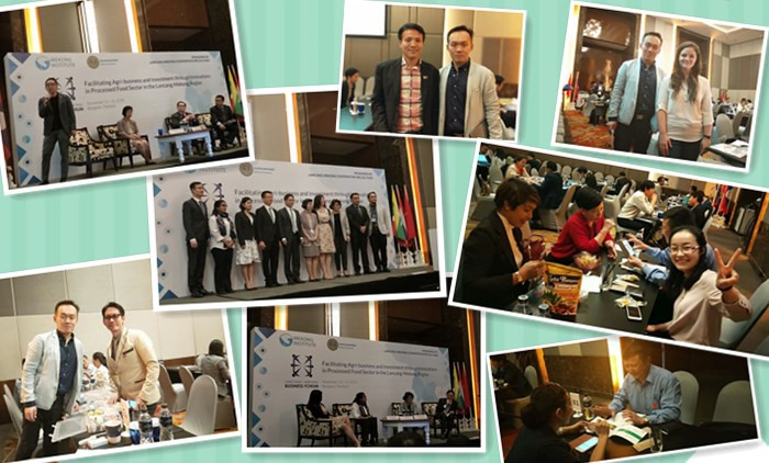 LANCANG-MEKONG Business Forum About Snacks Extrusion Machine Was Held