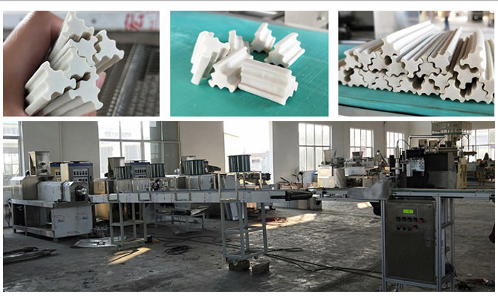 Successful Test of Pet Treats Extrusion Line is Made