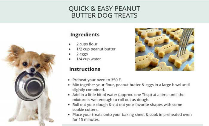 Best Dog Biscuits are Made by Pet Biscuits Production Line